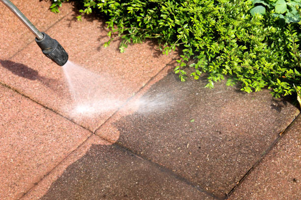 Best House Pressure Washing  in Pike Creek Valley, DE